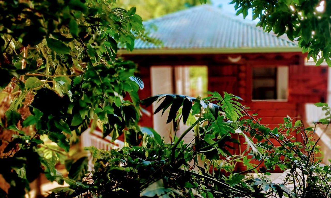 Gite Mamour - Charmant Petit Bungalow A Decouvrir Baillif Dış mekan fotoğraf