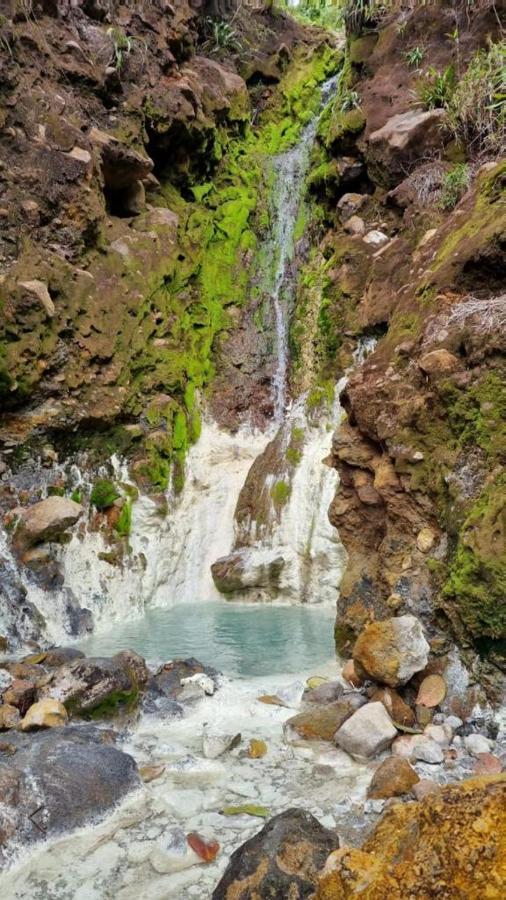 Gite Mamour - Charmant Petit Bungalow A Decouvrir Baillif Dış mekan fotoğraf